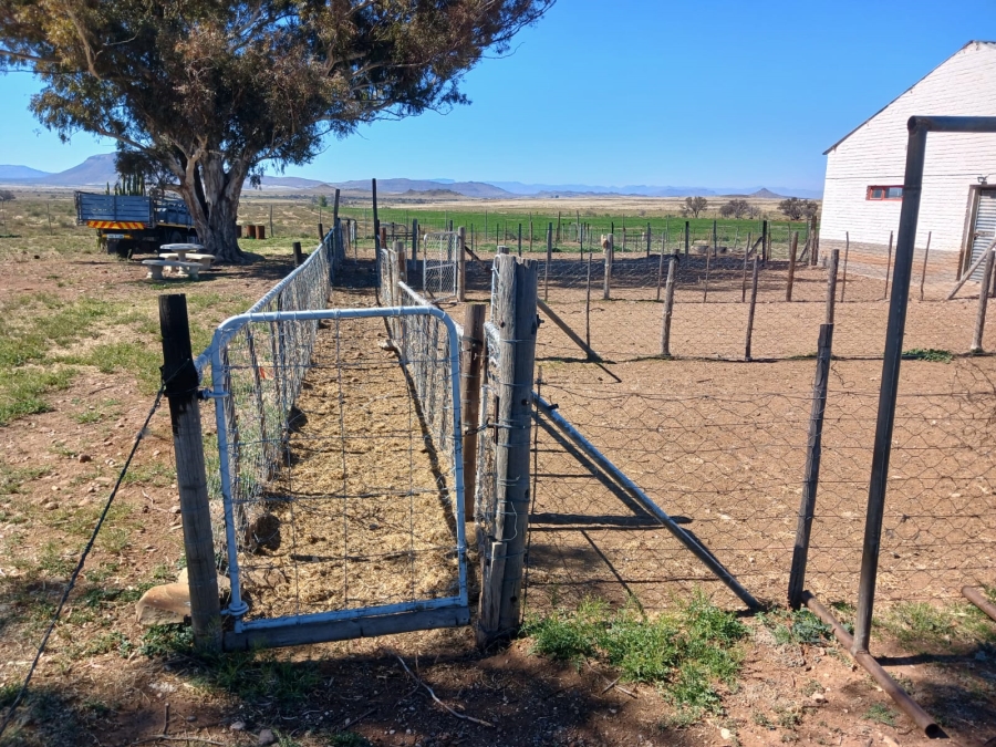 5 Bedroom Property for Sale in Tarkastad Eastern Cape